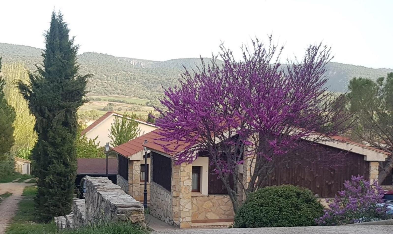 ויאלבה דה לה סיירה Aventura & Relax Cabanas Pena La Higuera מראה חיצוני תמונה